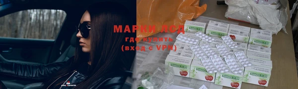 мет Няндома