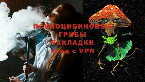 не бодяженный Новодвинск