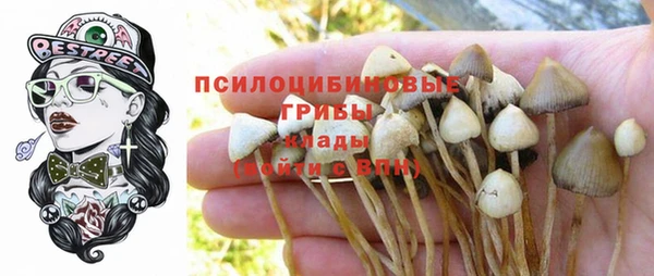 гашик Горнозаводск