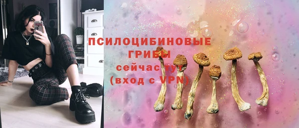 ПСИЛОЦИБИНОВЫЕ ГРИБЫ Шарыпово