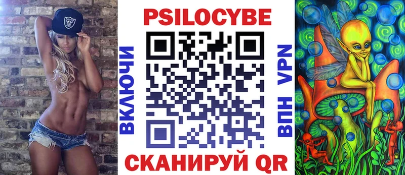 кракен вход  darknet телеграм  Псилоцибиновые грибы мицелий  Оха 